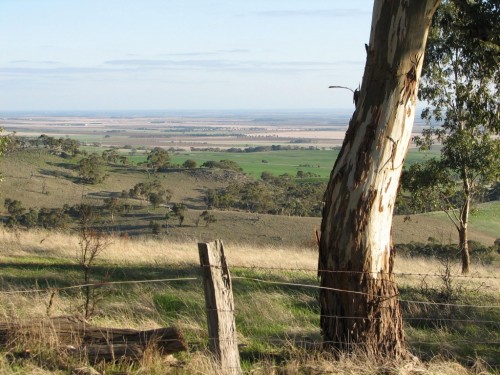 Balaklava Plains near Blyth South Australia