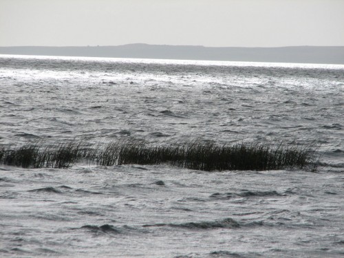 Lake Albert, Meningie, South Australia