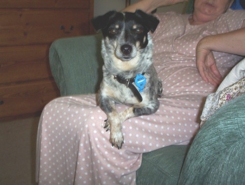Nancy on Great Grandma's lap