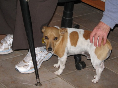 Nancy's friend Butch