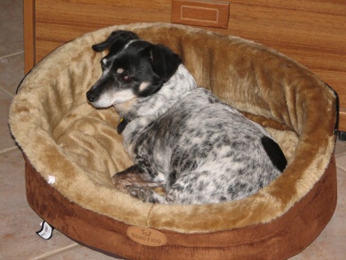 Nancy in her new bed