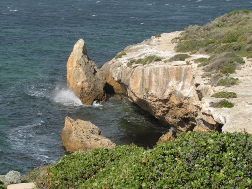 Penguin Point, Marion Bay, South Australia